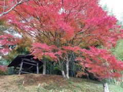獅子舞演舞!しまがはら歴史漂う紅葉の街道散策の写真1