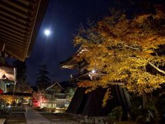 永源寺ライトアップの写真1