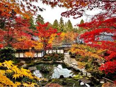 西明寺の紅葉の写真1