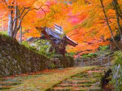百済寺の紅葉の写真1