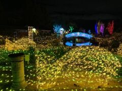 びわ湖大津館イルミネーション「夜のびわ湖に輝くいきものたち」の写真1