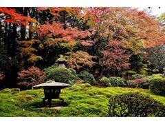 旧竹林院の紅葉の写真1