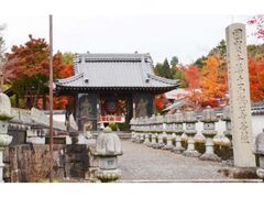櫟野寺 秋の特別拝観の写真1