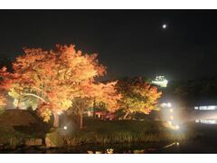 錦秋の玄宮園ライトアップの写真1