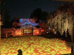 高台寺 秋の夜間特別拝観の写真1