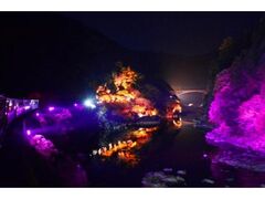 嵯峨野トロッコ列車「光の幻想列車」の写真1