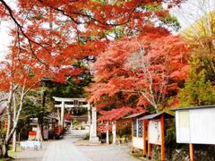 出雲大神宮の紅葉の写真1
