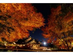 北野天満宮 史跡御土居もみじ苑の写真1