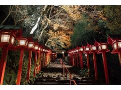 貴船神社 紅葉ライトアップの写真1