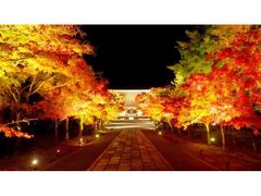 紅葉雲海ライトアップの写真1