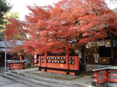 車折神社の紅葉の写真1