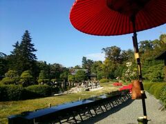 第71回市民大茶会の写真1