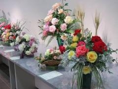 京都府立植物園 秋のバラ展の写真1