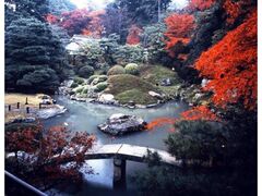 青蓮院門跡の紅葉の写真1