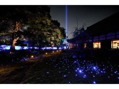 青蓮院門跡 夜の特別拝観 ライトアップの写真1