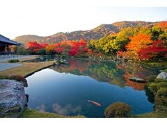 天龍寺の紅葉の写真1