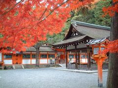 吉田神社の紅葉の写真1