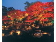 圓徳院 秋の特別拝観の写真1