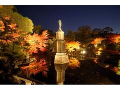 知恩院ライトアップの写真1