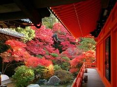 毘沙門堂の紅葉の写真1