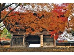 神護寺の紅葉の写真1