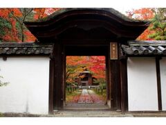 一休寺(酬恩庵)の紅葉の写真1