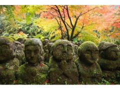 愛宕念仏寺の紅葉の写真1
