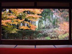 宝泉院の紅葉の写真1