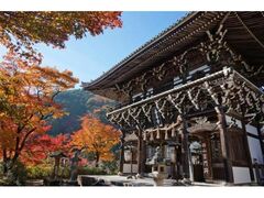 善峯寺の紅葉の写真1
