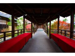 大徳寺総見院 秋の特別公開の写真1