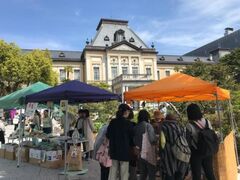 京都府庁旧本館「観芸祭」の写真1