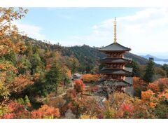成相寺の紅葉の写真1