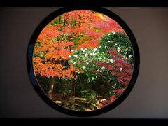 源光庵の紅葉の写真1