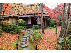 大河内山荘庭園の紅葉の写真1