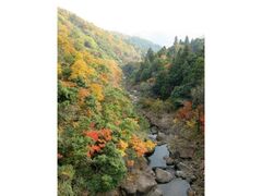 大江山の紅葉の写真1