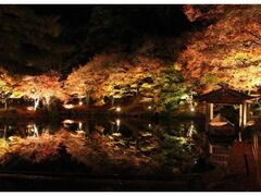 綾部もみじまつりの写真1