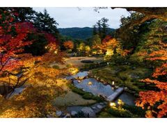 秋の紅葉特別夜間公開 トワイライト庭園パーティー2025の写真1