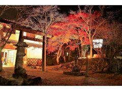山家城址公園(山家陣屋跡)の紅葉の写真1