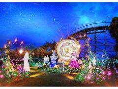 光の遊園地〜Flowering Illumination Rose〜の写真1