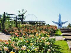 万博記念公園 秋のローズフェスタの写真1