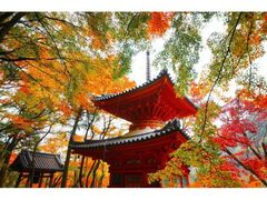 牛滝山大威徳寺の紅葉の写真1