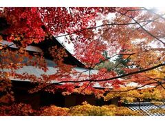 神峯山寺 紅葉狩りの写真1