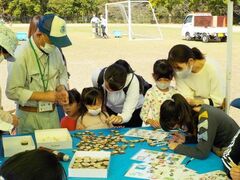 寝屋川公園フェスティバルの写真1