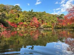 植物園のもみじ散策の写真1