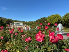 神戸市立須磨離宮公園 秋のバラ観賞会の写真1