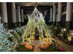 特別展「ウィンターガーデン〜心華やぐ色と光の祝祭〜」の写真1