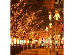 KOBE UMIAKARIの写真1