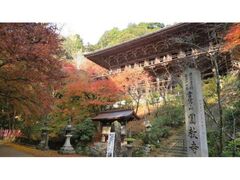 書写山 もみじまつりの写真1