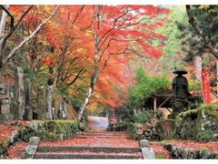 石龕寺の紅葉の写真1