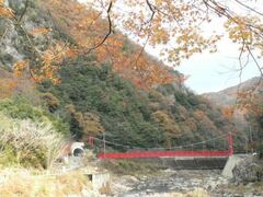 武田尾温泉の紅葉(見頃)の写真1
